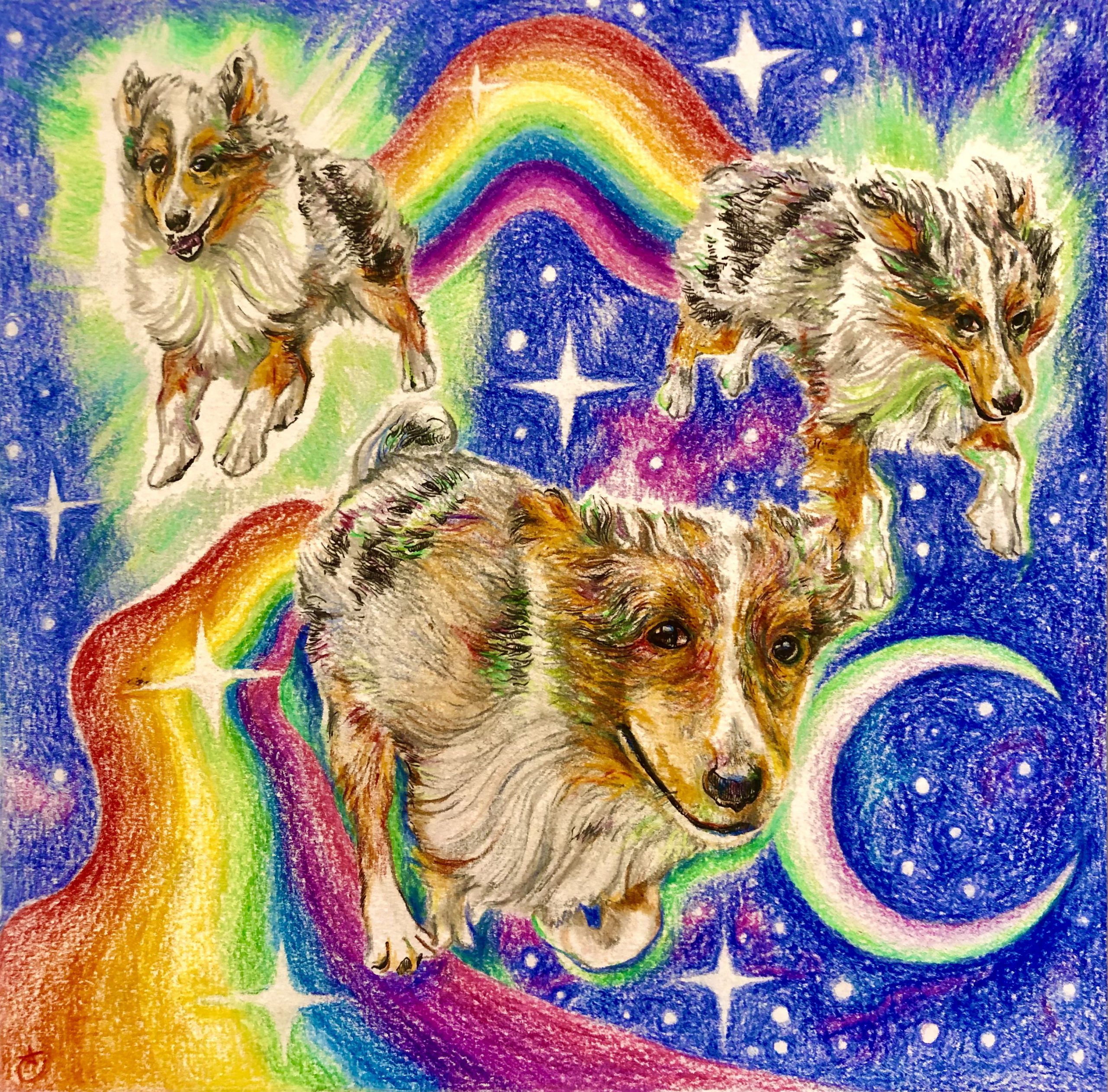 Nyan dog arc-en-ciel crayon de couleur